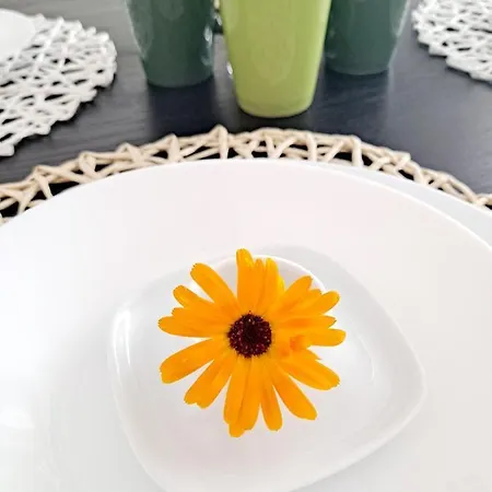 Apartment Gizyckie Lato *